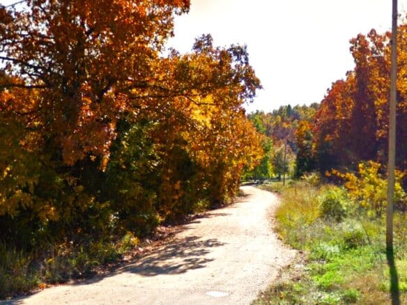 SOLD – 0.56 Acres Treed land in Arkansas for Sale