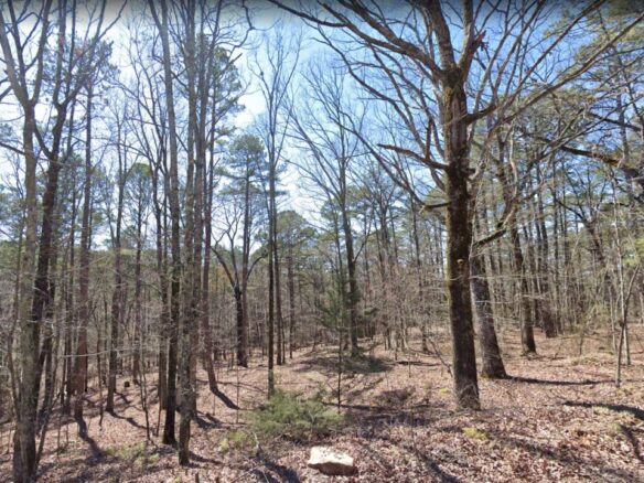 0.25 Acres of Mountainous Treed Land for Sale in Fairfield Bay, Arkansas