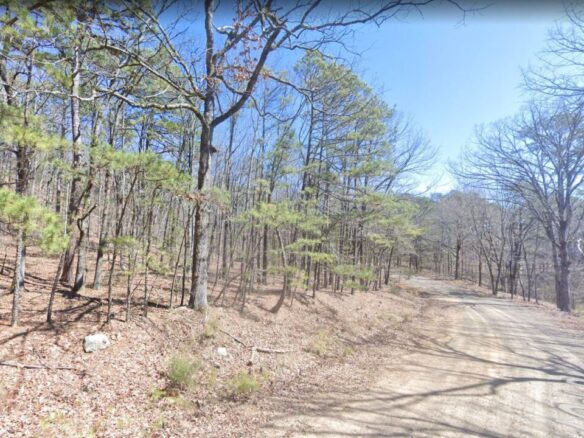 0.25 Acres of Mountainous Treed Land for Sale in Fairfield Bay, Arkansas