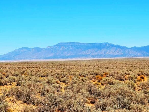 0.25-Acre Land for Sale in Belen NM 87002
