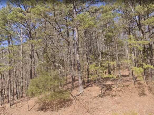 0.25 Acres of Mountainous Treed Land for Sale in Fairfield Bay, Arkansas