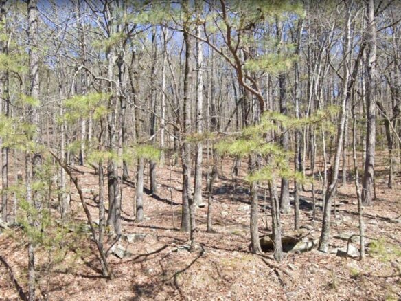 SOLD – 0.78 Acres of Land for Sale in the Ozark Mountains, Fairfield Bay, AR