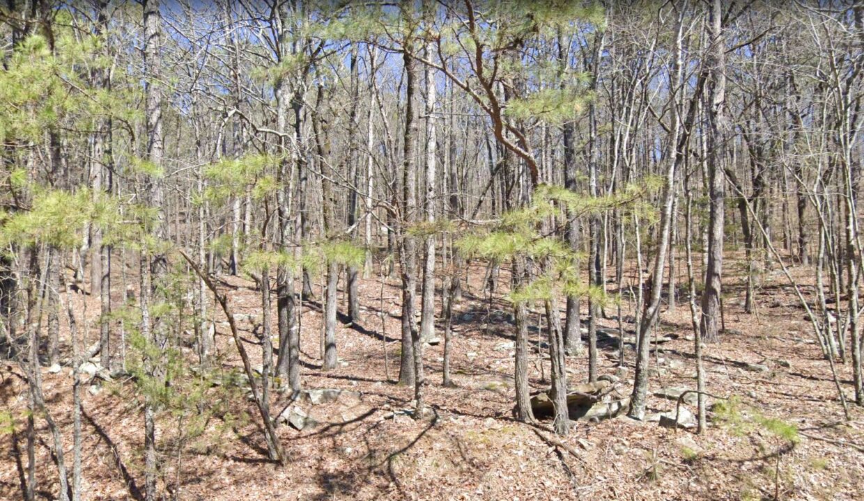 land for sale in the ozark mountains
