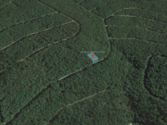 0.25 Acres of Mountainous Treed Land for Sale in Fairfield Bay, Arkansas