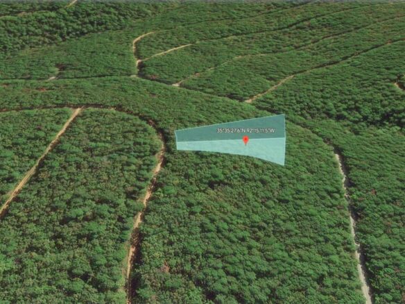 SOLD – 0.78 Acres of Land for Sale in the Ozark Mountains, Fairfield Bay, AR