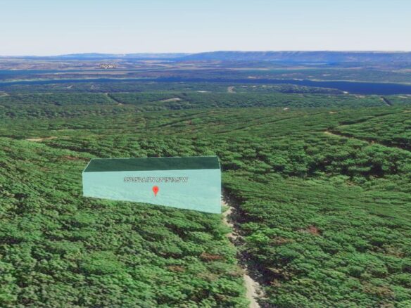 0.25 Acres of Mountainous Treed Land for Sale in Fairfield Bay, Arkansas
