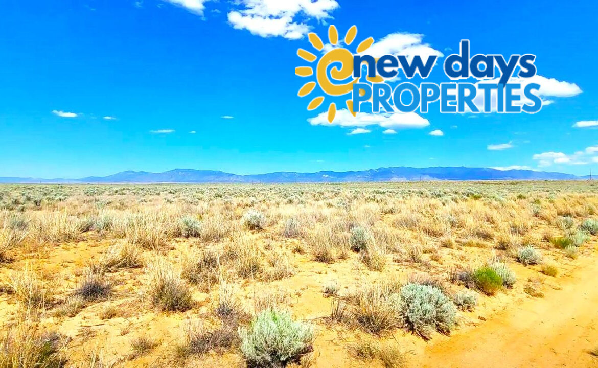 Land for sale in new Mexico