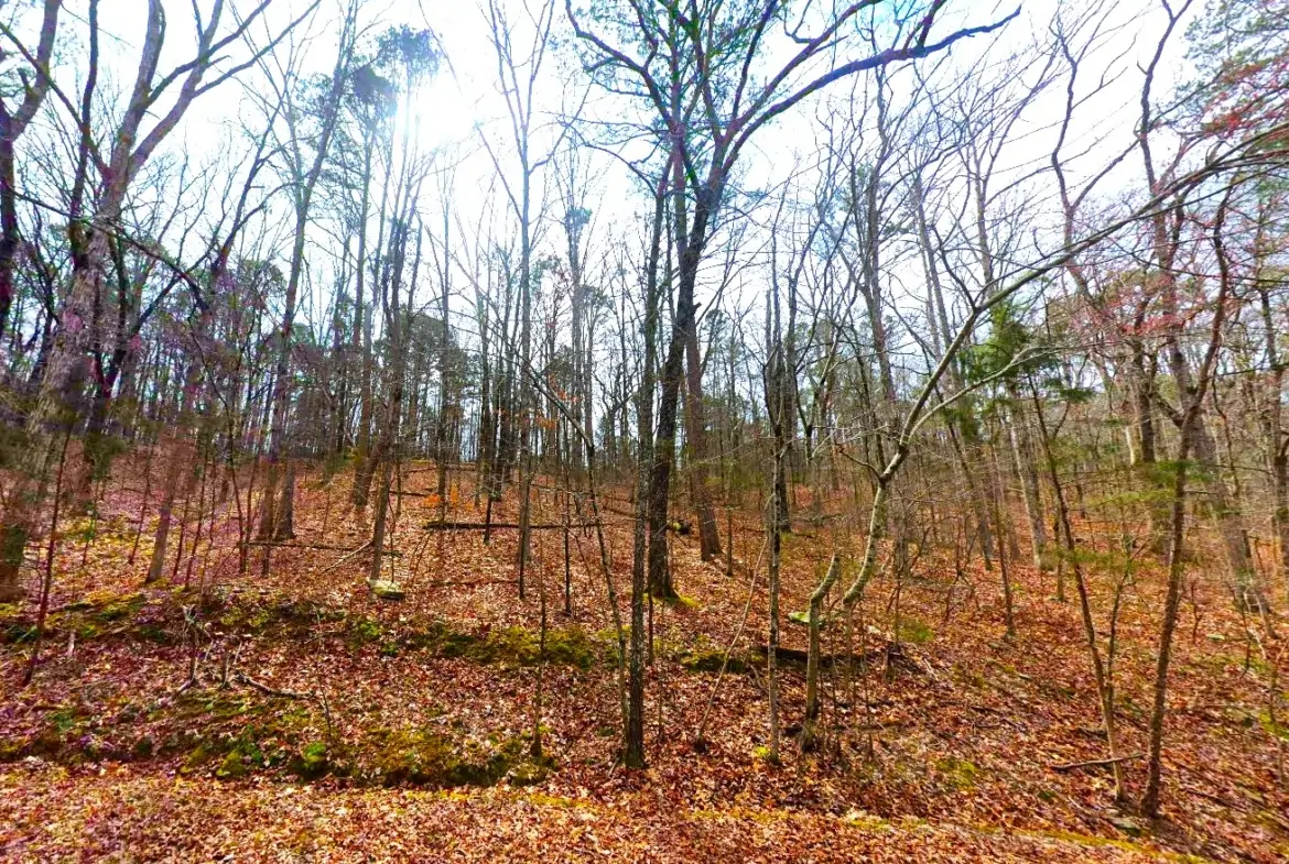 Land for Sale in Ozarks