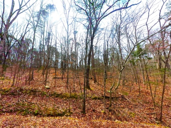 SOLD- 0.33-Acre Land for Sale in Ozarks, Arkansas