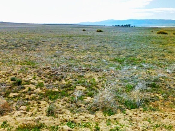 SOLD – 2.5 Acres Farm Land for Sale in California