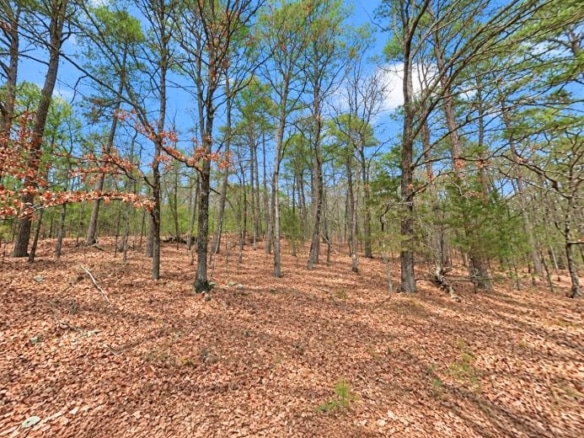 0.23-Acre Land in Ozark Arkansas For Sale