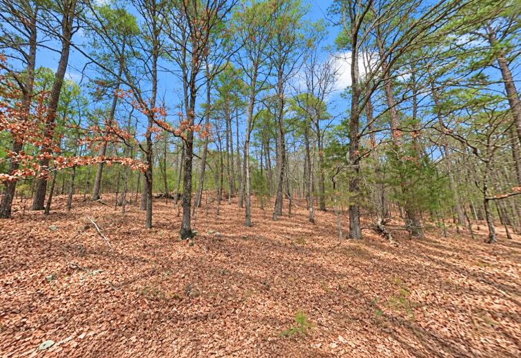 0.23-Acre Land in Ozark Arkansas For Sale