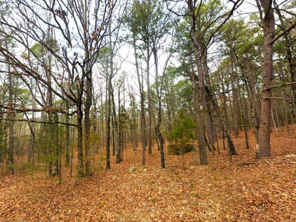 SOLD – 0.24-Acre Treed, Lake and Mountain view Arkansas Land for Sale