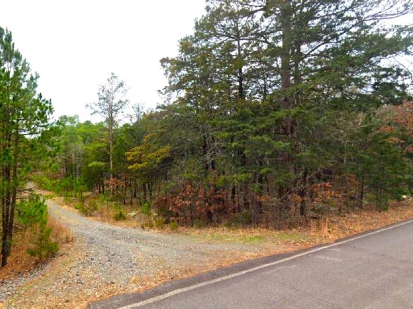SOLD – 0.27-Acre Land for Sale in Mountain View Arkansas