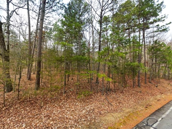 SOLD – 0.23-Acre of Land for Sale in Fairfield Bay, Arkansas
