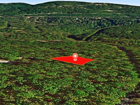 SOLD- 0.33-Acre Treed land for sale in Arkansas with water