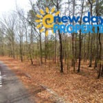 land for sale in arkansas ozarks