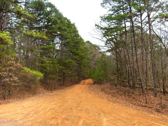 0.47-Acre Land for Sale in Mountain View Arkansas
