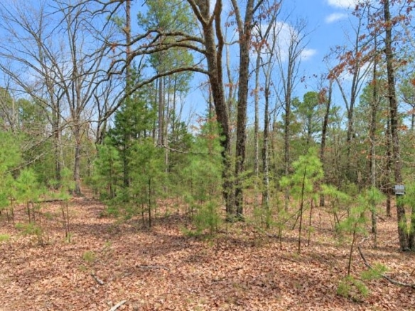 0.23-Acre Land in Ozark Arkansas For Sale