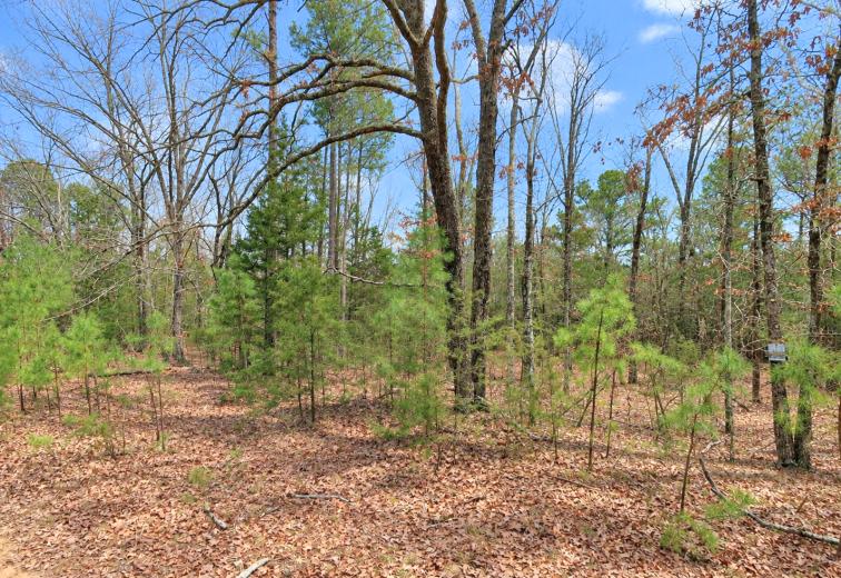 0.23-Acre Land in Ozark Arkansas For Sale