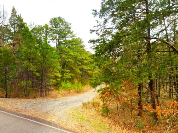 SOLD – 0.27-Acre Land for Sale in Mountain View Arkansas