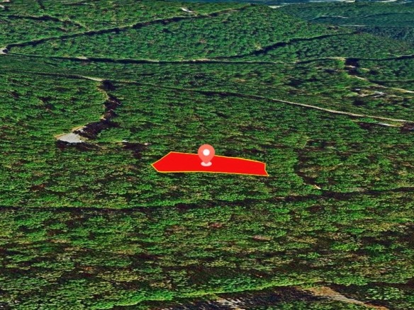 SOLD- 0.33-Acre Treed land for sale in Arkansas with water