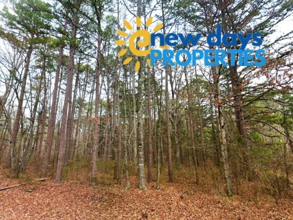 0.47-Acre Land for Sale in Mountain View Arkansas
