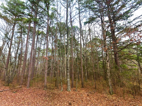 0.47-Acre Land for Sale in Mountain View Arkansas