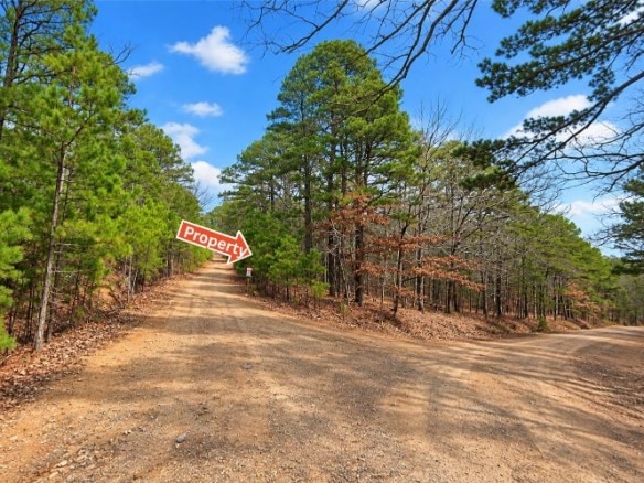 0.23-Acre Land in Ozark Arkansas For Sale