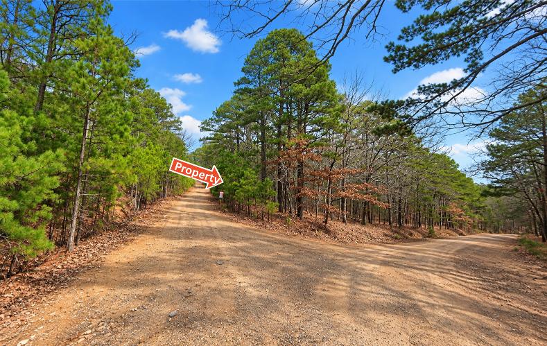 0.23-Acre Land in Ozark Arkansas For Sale