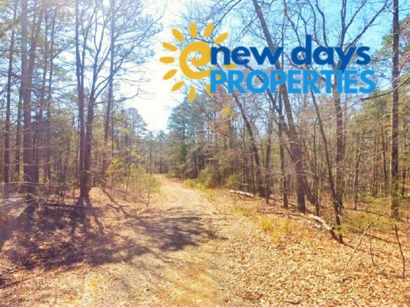 SOLD – 0.27-Acre Land for Sale in Mountain View Arkansas