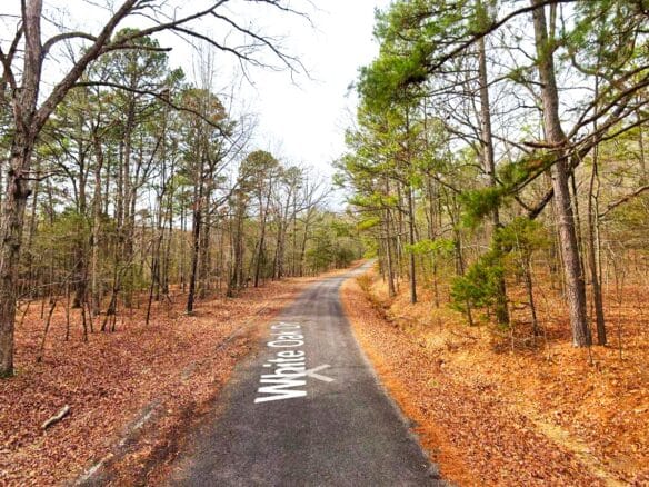 0.26-Acre Cheap Land for Sale in Arkansas Ozarks