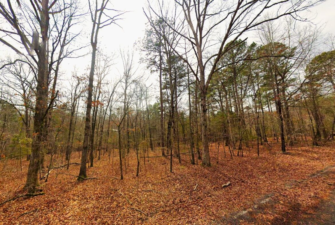 land for sale in arkansas with water