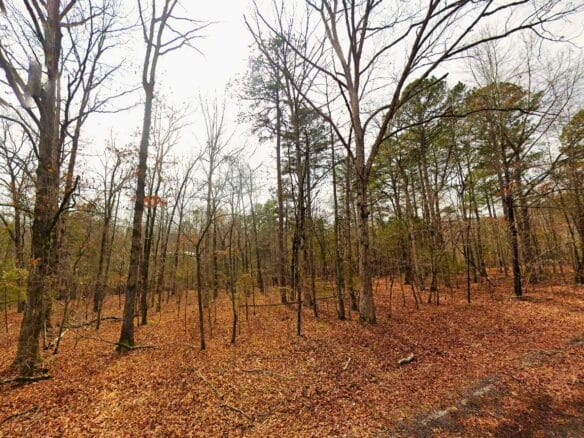0.26-Acre Cheap Land for Sale in Arkansas Ozarks