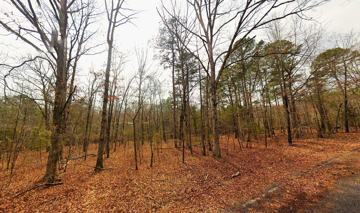 land for sale in arkansas with water