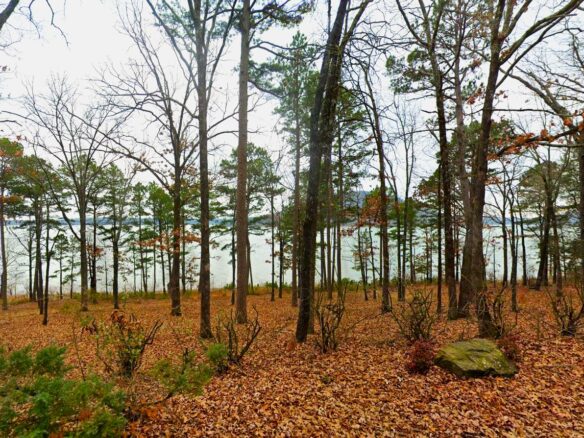 SOLD – 0.24-Acre Treed, Lake and Mountain view Arkansas Land for Sale