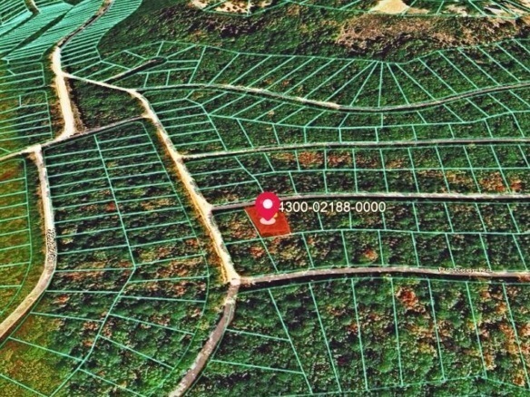 0.23-Acre Land in Ozark Arkansas For Sale
