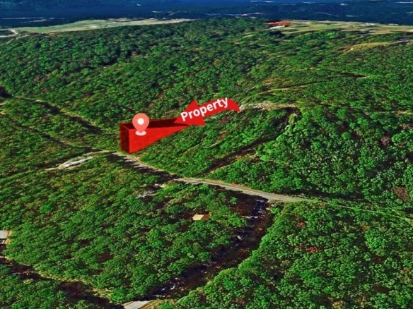 SOLD – 0.31-Acre Land for Sale in Arkansas Ozarks