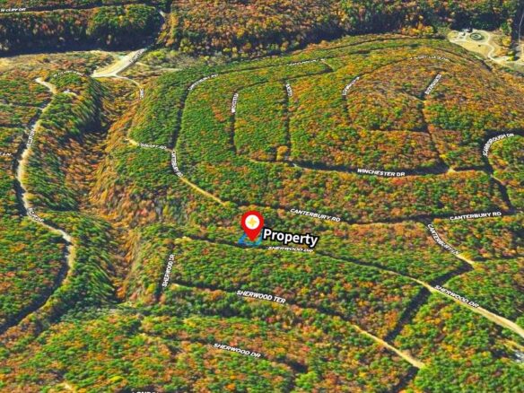 0.27 Acres Land for Sale with Lake View in Arkansas