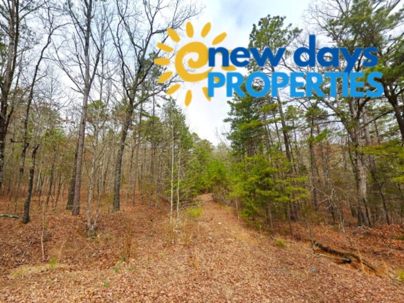SOLD- 0.33-Acre Treed land for sale in Arkansas with water