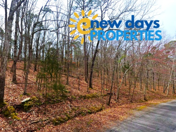0.25-Acre Land for Sale in Fairfield Bay, Arkansas