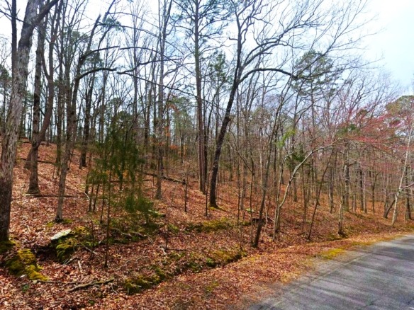 SOLD- 0.33-Acre Land for Sale in Ozarks, Arkansas