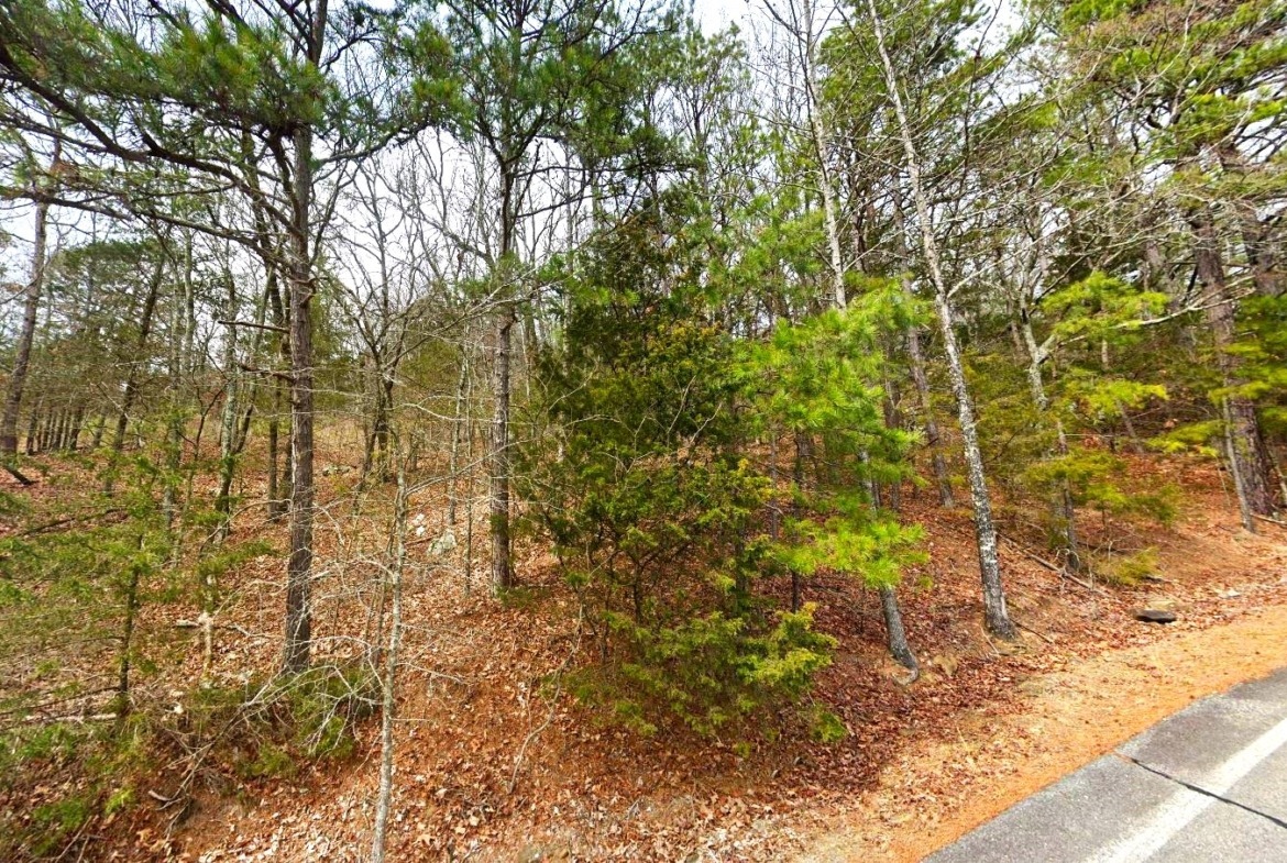 land for sale in arkansas ozarks