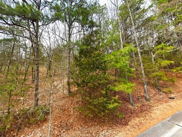 SOLD – 0.31-Acre Land for Sale in Arkansas Ozarks