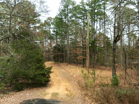 SOLD – 0.27-Acre Treed lot & Lake Views in Arkansas Land for Sale