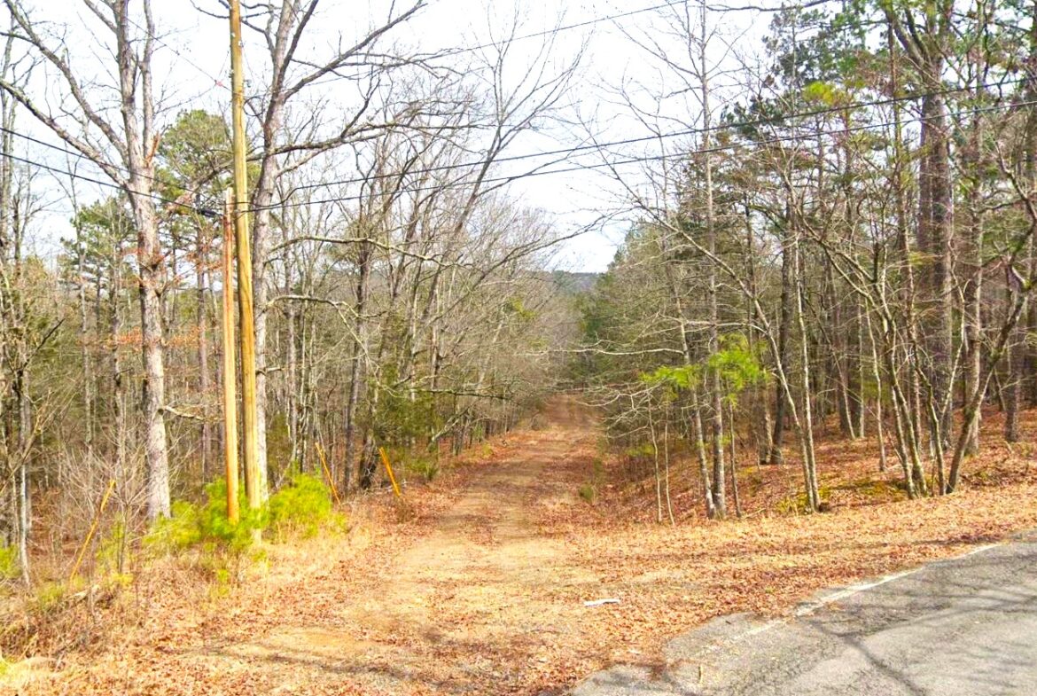 Land for Sale Mountain View Arkansas