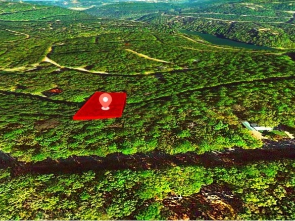 SOLD- 0.33-Acre Land for Sale in Ozarks, Arkansas