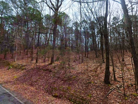 SOLD- 0.33-Acre Land for Sale in Ozarks, Arkansas