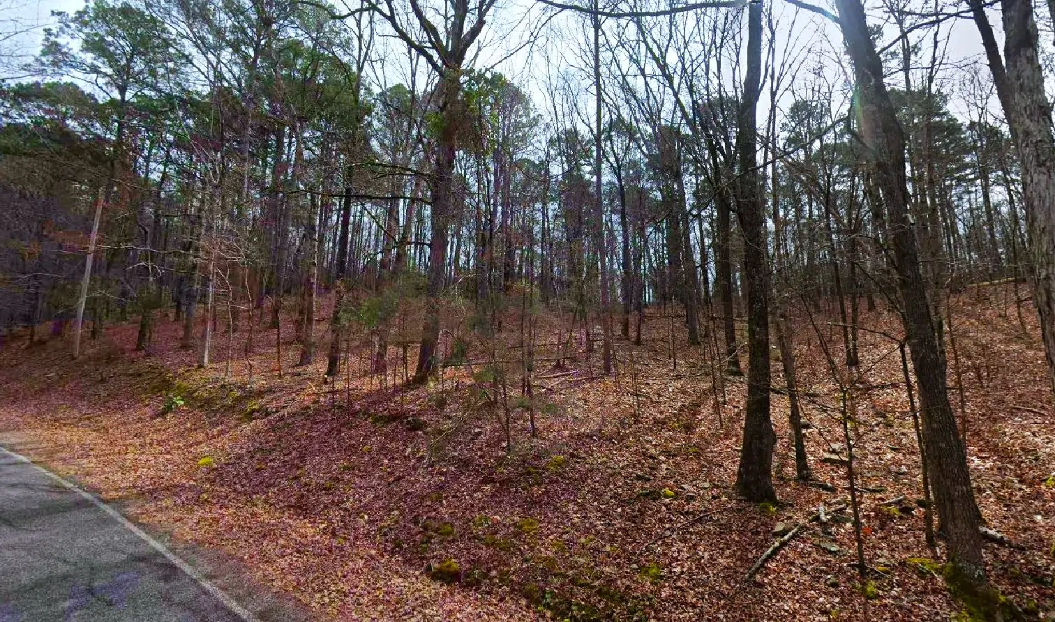 Land for Sale in Ozarks