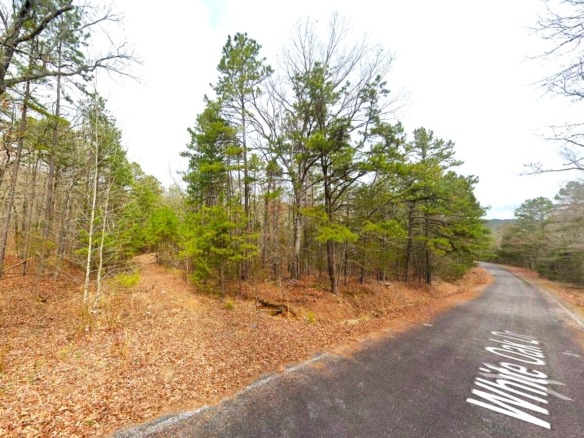 SOLD- 0.33-Acre Treed land for sale in Arkansas with water
